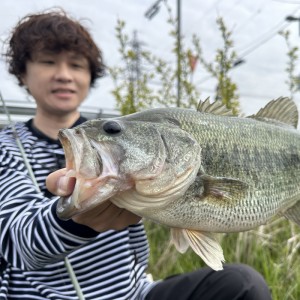 メカラウロコ　キャンディーフィッシュ 35